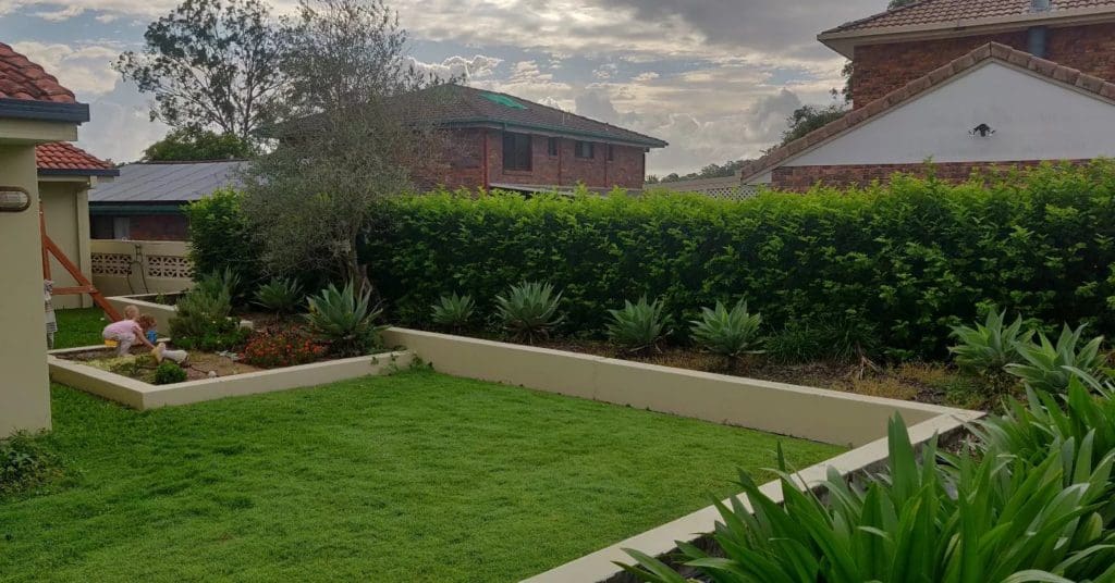 Expert Empire Zoysia turf laying enhances your outdoor space. Get a vibrant, even lawn with top Brisbane service.