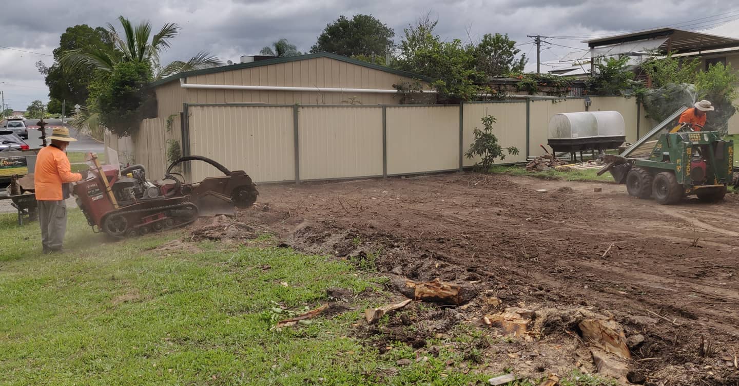 Lawn Removal and Leveling: Brisbane Yard Transformation