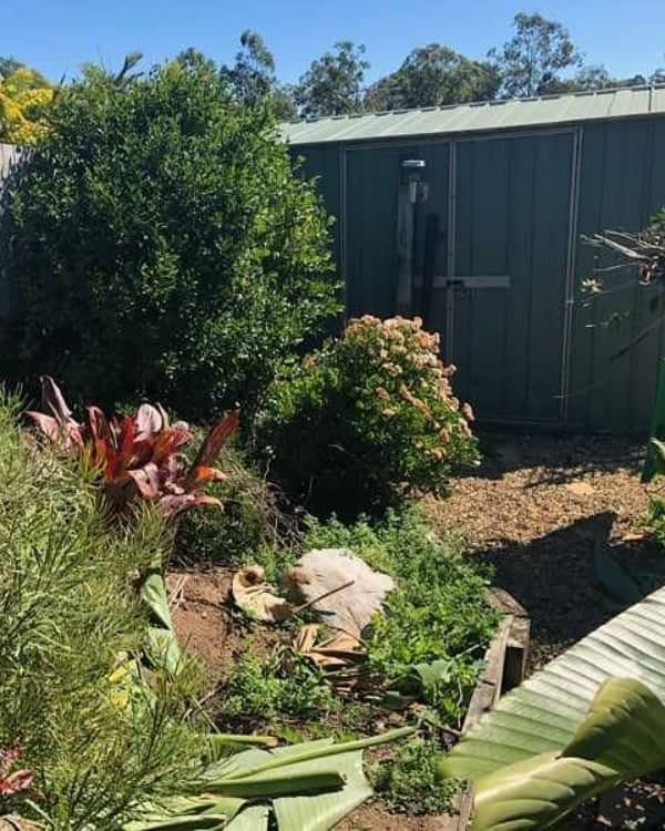 Cleared out this yard of all it garden and levelled in preparation for the owners to do their own turfing.