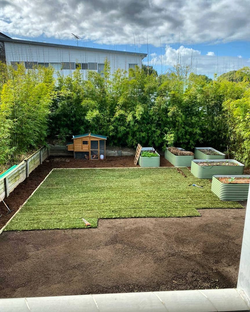 Re-turfing and garden installation