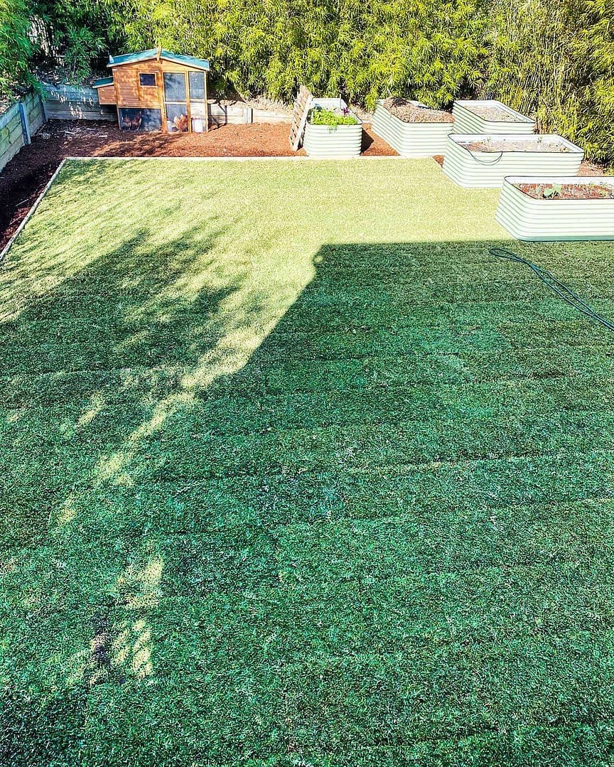 Re-turfing and garden installation