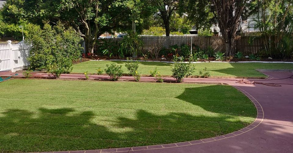 Elevate Your Outdoor Space with a Professional Lawn Renovation