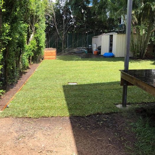 Buffalo Palmetto and Planter Box with full irrigation system 1