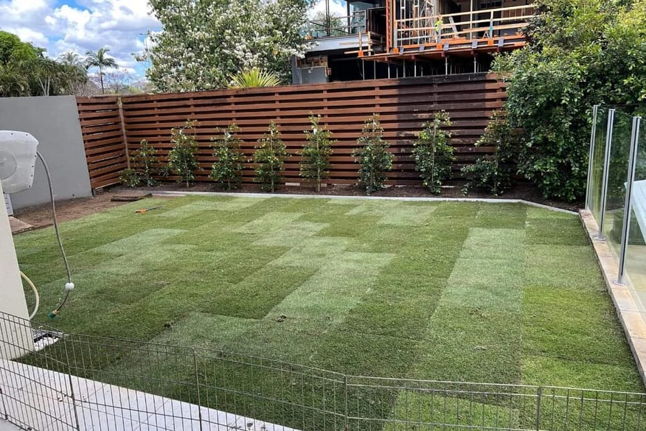 Turfing & Turf Preparation Archives Rogers Little Loaders Dry and Wet